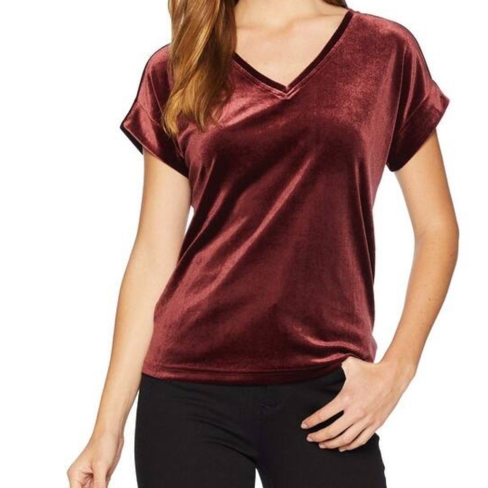 Sanctuary velvet short sleeve top